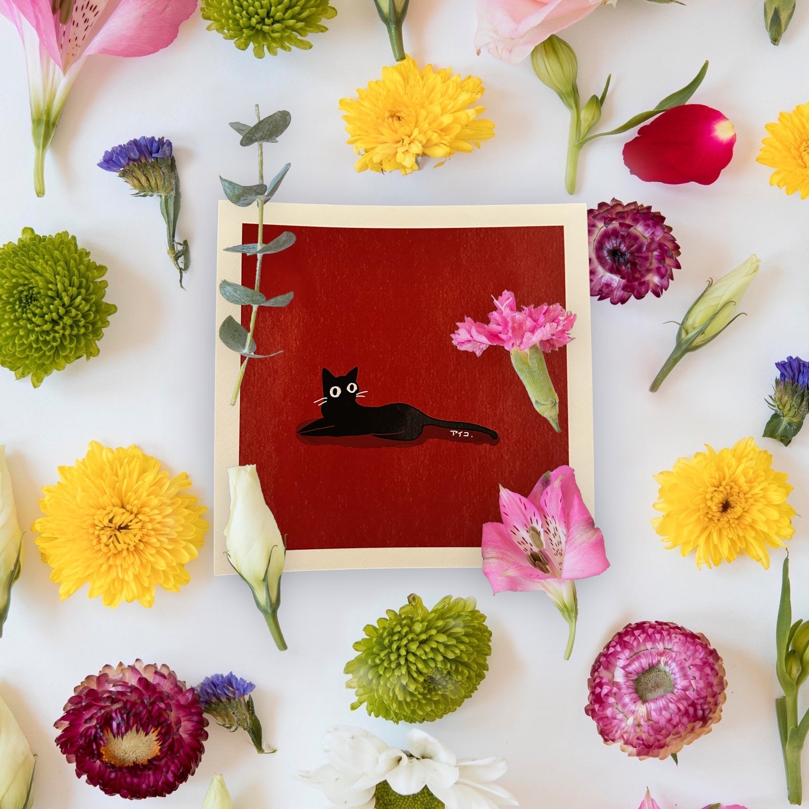 Art Print | “Black Cat on Red”